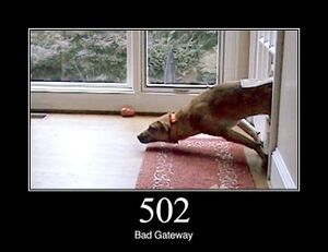502 bad gateway.jpg